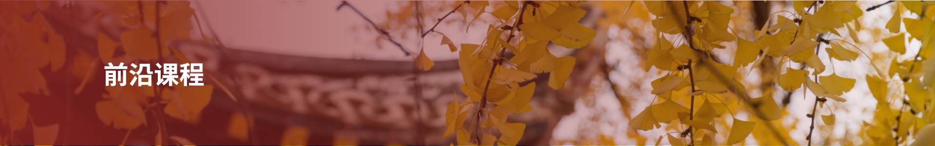 前沿课程
