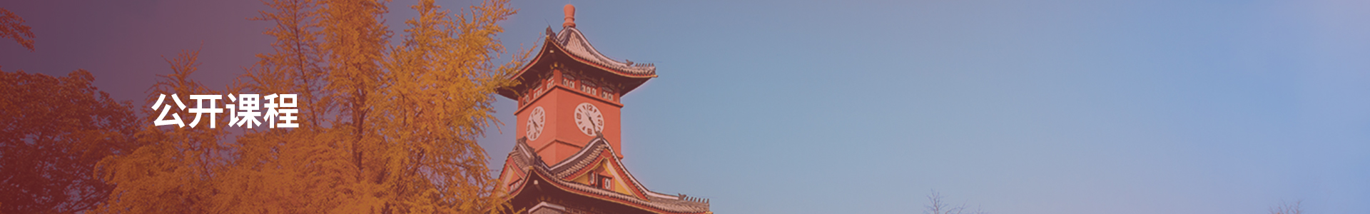 公开课程