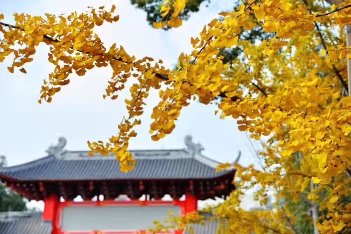 四川大学商学院EDP培训中心学员公开课邀您重返校园